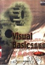 Visual Basic 5.0/6.0范例教程 标准版 1998 PDF电子版封面 7113031692 洪国胜编著
