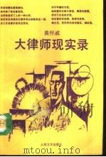 大律师现实录（1992 PDF版）