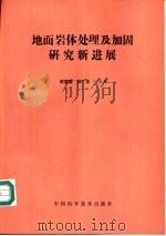 地面岩体处理及加固研究新进展 1993 PDF电子版封面 7504610941 姚宝魁,孙广忠主编
