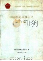国际煤炭利用会议论文集（1989 PDF版）