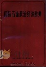 国际石油政治经济辞典（ PDF版）