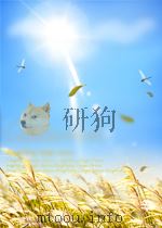 Visual C#.NET中文版Web服 PDF电子版封面
