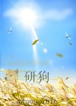 中国文学史·第2卷（1963 PDF版）