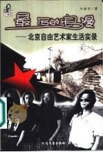 20世纪最后的浪漫  北京自由艺术家生活实录（1999 PDF版）