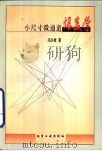 小尺寸微通道爆轰学（1999 PDF版）