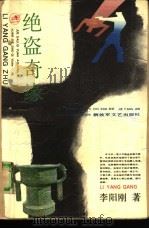 绝盗奇缘（1993 PDF版）