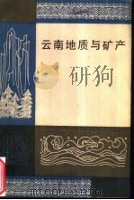 云南地质与矿产   1984  PDF电子版封面  13116·90  杨荆舟编著 