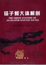 扬子鳄大体解剖 1998 PDF电子版封面 7030059794 丛林玉,侯连海等著