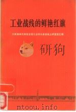 工业战线的鲜艳红旗 大庆油田代表在全国工业学大庆会议上的发言汇编 1977 PDF电子版封面 3001·1591 宋振明等著
