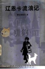 辽恩卡流浪记 PDF电子版封面