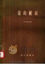 猪的解剖（1965 PDF版）
