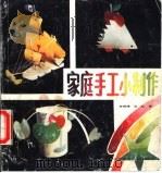 家庭手工小制作 1991 PDF电子版封面 7810134094 林晓雅,庄虹著