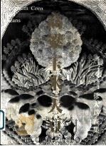 《高梁·玉米·大豆》  徐大为书集   1995  PDF电子版封面  7800990974  范迪安，李延年，侯钦孟主编 