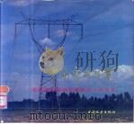 中国电力工业   1988  PDF电子版封面  7120003771  孙嘉平等主编 