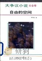大争议小说 社会卷 自由的空间 1993 PDF电子版封面 7560405037 陈学超编