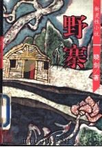 野寨 新灵性小说 1994 PDF电子版封面 7500817045 晓剑著