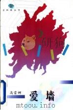 爱墙 1996 PDF电子版封面 7543425491 高雷娜著
