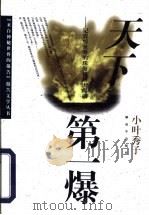 天下第一爆 记震惊世界的珠海机场大爆破 1997 PDF电子版封面 750653407X 小叶秀子著