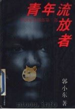 青年流放者   1994  PDF电子版封面  7500816782  郭小东著 