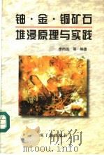 铀·金·铜矿石堆浸原理与实践 1997 PDF电子版封面 7502216049 李尚远等编著