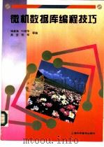 微机数据库编程技巧   1996  PDF电子版封面  754271046X  钱澄海，叶绍华等编 