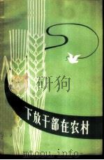下放干部在农村   1958  PDF电子版封面  3074·155  人民出版社编辑 