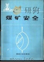 煤矿安全   1988  PDF电子版封面  7502000119  徐海云编 