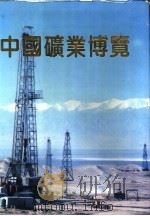 中国矿业博览 1994 PDF电子版封面 7501128146 地质矿产部编