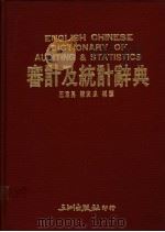 审计及统计辞典 1988 PDF电子版封面 王为勇等编译