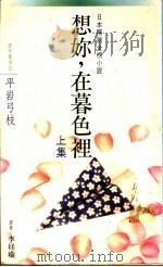 想你，在暮色里  上集   1988  PDF电子版封面    平岩弓枝著 