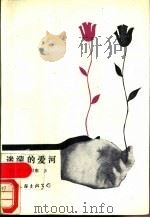 迷蒙的爱河 1990 PDF电子版封面 7505911937 崔苇,宋秋雁著