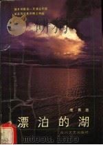 漂泊的湖 1989 PDF电子版封面 7541104876 席慕蓉著