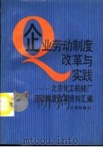 企业劳动制度改革与实践  北京化工机械厂劳动制度改革资料汇编   1992  PDF电子版封面  7805541272  陈天任主编 