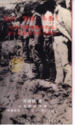 胜利·旧痛·今忧! 追思马关辱国条约及台澎同胞英勇抗日惨史 1994 PDF电子版封面 蒋伟国著