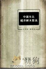 中国东北经济树木图说 1959 PDF电子版封面 13031·959 竹内亮,祝廷成编著