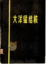 大洋锰结核   1982  PDF电子版封面  13193·0089  王成厚编 