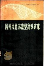 国外风化淋滤型富铁矿床 1978 PDF电子版封面 15062·3312 东北工学院地质测量教研室译