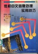微机中文信息处理实用技巧 1996 PDF电子版封面 7542710486 钱澄海,叶绍华,吴坚,张军等编