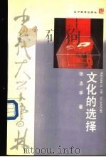文化的选择  对中国近代化取向的反思   1988  PDF电子版封面  7538205187  张志孚著 