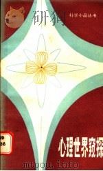 心理世界窥探   1984  PDF电子版封面  13196·162  袁振国，朱永新著 
