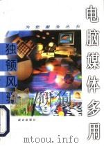 独领风骚  电脑媒体多用   1996  PDF电子版封面  7800402630  弘扬主编 