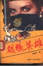 鲲鹏英雄   1989  PDF电子版封面  7207012314  凌霄子著 