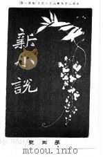 新小说  第8号（ PDF版）