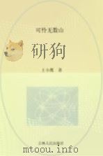 可怜无数山 1998 PDF电子版封面 7206030718 王小鹰著