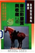 唐三彩鉴赏与收藏   1996  PDF电子版封面  7538415440  李泽奏，刘如仲主编；王健华编著 