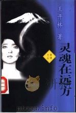 灵魂在远方 1996 PDF电子版封面 7801091094 王开林著