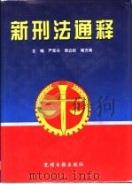 新刑法通释 1997 PDF电子版封面 7800919625 严军兴等主编