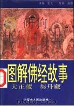 图解佛经故事  南北大藏经   1992  PDF电子版封面  7204016947  张元编译；赵明等绘画 