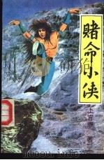 赌命小侠  1-3册   1993  PDF电子版封面  7204020960  上官鼎著 