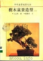 中外盆景造型大全  树木盆景造型  上   1993  PDF电子版封面  7560809286  王志英画；赵庆泉文；杨立义，莫德容译 